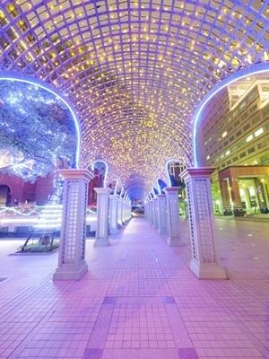 LED light potting compounds let you place your next-gen lighting in virtually all places a person be